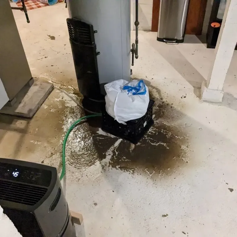 Sewage Backup Cleanup Service in Moonachie, NJ